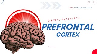 Prefrontal Cortex Exercises for Healing and Better Function [upl. by Selrac]