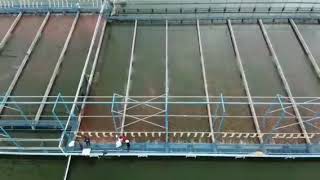 Aerial view of In pond Raceway System IPRS Drone view of aquaculture system [upl. by Stavros]