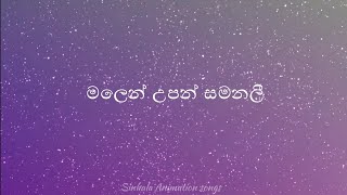 Malen Upan Samanali Lyrics මලෙන් උපන් සමනළී  Raween Kanishka amp Nuwandhika  Sinhala Animation Songs [upl. by Anelad]