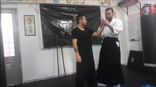 Aikido As Duas Visões [upl. by Noyr]