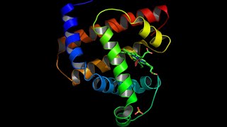 Bioinformatics of proteome analysis 2 [upl. by Boys89]