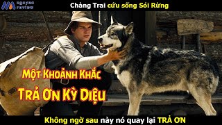 Review Phim Chàng Trai cứu sống Sói Rừng Không ngờ sau này nó quay lại TRẢ ƠN [upl. by Buford]