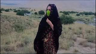 Gowanda lao New Balochi song 2024 Bakhtyair Najeeb Official [upl. by Greyso]