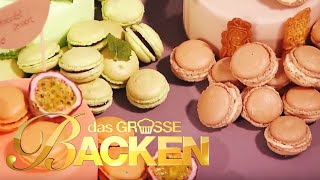 Das große Backen 2014  Macarons Klein aber oho [upl. by Avalsorim]