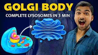 Complete Golgi Body Only In 3 Min 😱  In Hindi [upl. by Ailis68]