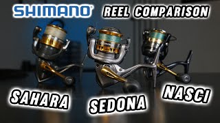 Shimano Sedona Sahara and Nasci Which Do You Need Full Comparison [upl. by Delanie958]