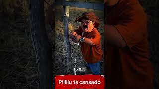 Pililiu tá cansado pililiu [upl. by Tellford812]