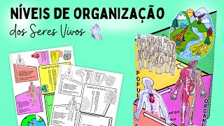 Níveis de organização dos seres vivos [upl. by Ferullo922]