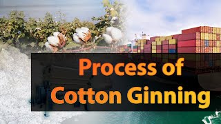 Cotton Ginning [upl. by Norm]