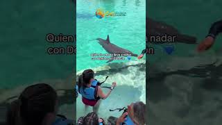 Mágica experiencia con un delfín solrivieracancun Dolphinaris toursencancunsrc delfines cancun [upl. by Irim]