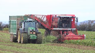 Vervaet Beet Eater 617 amp John Deere Tractors [upl. by Puglia590]