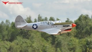 P40 WARHAWK GPEP 3035cc SCALE 14 ¾ ARF PH159 PHOENIXMODEL [upl. by Yuu]