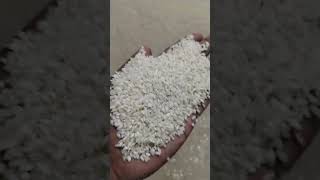 Idly rice ricemill videokerala rice milltrichy ricemillmadurai ricerice in tamilnaduidly rice [upl. by Iadahs]