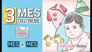 📆👶🏻 TERCER MES del bebé  3 MES  Desarrollo y cuidados [upl. by Nageet]