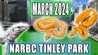 Tinley Park Reptile Expo March 2024 [upl. by Krutz]