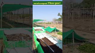 Vermicompost खाद बनाने में कितना मुनाफ़ा Organic Farming  Vermicompost Business  Viral  KOI [upl. by Buseck378]