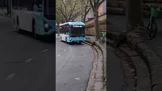 TRANSPORT SYDNEY NSW AUSTRALIA BUSES  TRANSIT SYSTEMS PRIVATE BUS [upl. by Gayn44]