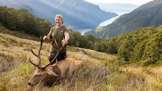 Lugar Burn  Fiordland Wapiti Hunt  2022 [upl. by Nwahsem]