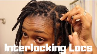 InterlockingLocs How I Interlock My Locs  Retightening Traditional Locs [upl. by Joses]