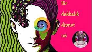 Bir dakkalık dipnot 116 quotDönüşümquot ve Pikaresk Unsurlar [upl. by Annoved949]