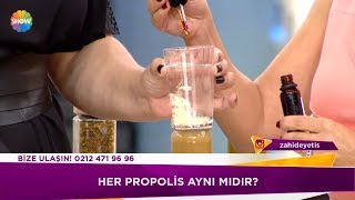 Propolis nedir [upl. by Meek306]