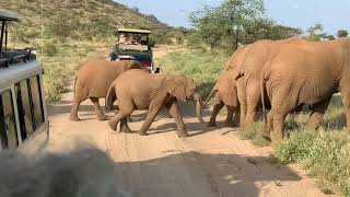 More Samburu National Park [upl. by Matthiew]