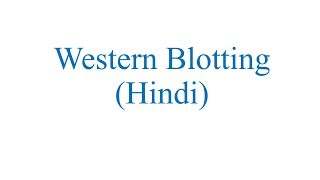 Western Blotting Hindi [upl. by Shorter177]