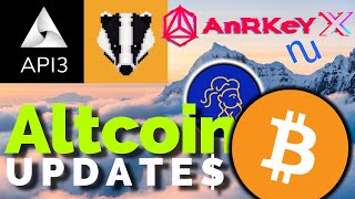 Major Altcoin Updates API3 Badger DAO NuChypher AnRKeY X Plutus PLU [upl. by Lalittah]