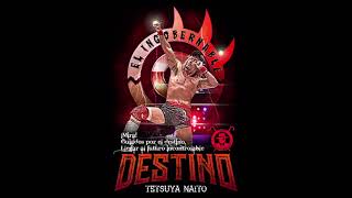 Tetsuya Naito  STARDUST Entrance Theme [upl. by Amorita]