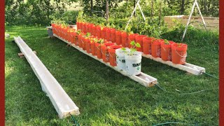 Le jardin que lon arrose pas et qui sinstalle partout parfait pour les paresseux  Bucket Garden [upl. by Yerggoeg437]