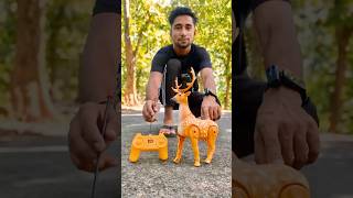 Remote control Rc Deer 🦌 Unboxing amp Testing [upl. by Ennovihs]