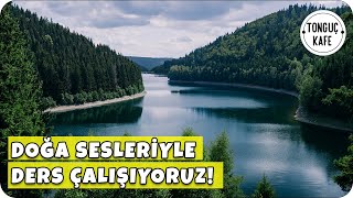 Doğa Sesleri ve Bahar Esintileriyle Ders Çalışıyoruz  Dinlendirici ve Zihin Açan Müziklerle [upl. by Chas]