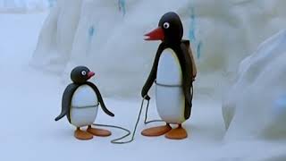 Pingu Tries Hiking For First Time Amazing Moments [upl. by Anitneuq]