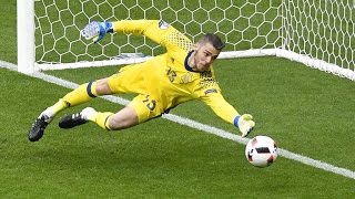 Best Goalkeeper Saves ● Euro 2016 [upl. by Yecart]