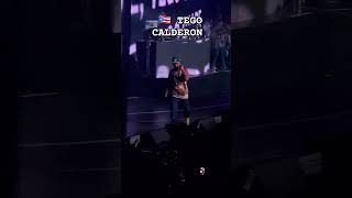 🇵🇷Tego Calderon En Vivo music reggaeton musica antibrokebarbersclub tegocalderon [upl. by Faubion161]