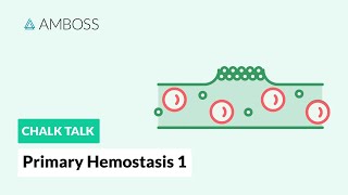 Primary Hemostasis  Part 1 Platelet Adhesion [upl. by Olva369]