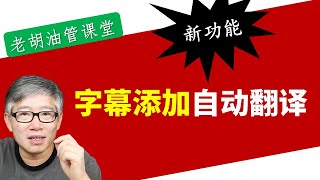 【油管新功能】油管后台集成了字幕自动翻译功能，现在你可以在线翻译字幕，简单修订校验之后立即发布了，大大节省时间！ [upl. by Marriott688]