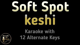 keshi  Soft Spot Karaoke Instrumental Lower Higher Female amp Original Key [upl. by Pontias716]