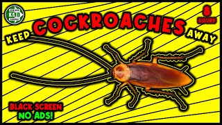 ANTI COCKROACHES REPELLENT SOUND ⛔🕷 KEEP COCKROACHES AWAY  ULTRASONIC SOUND [upl. by Hilliary439]