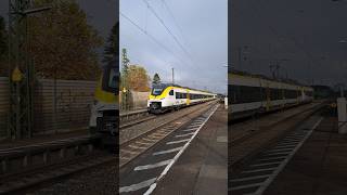 BR463 5017 Mireo der Deutsche Bahn in Bad Krozingen siemensmireo mireo trainspotting shorts yt [upl. by Tenneb933]