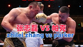 张志磊 VS帕克 zhilei zhang VS joseph parker [upl. by Donelu]