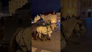 Kočáry na Staroměstském náměstí 🐴 [upl. by Laddie]