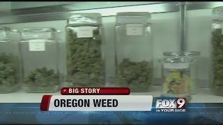 Ballot measure could legalize weed [upl. by Basia515]