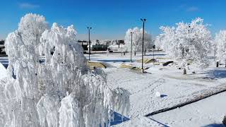 Hoarfrost  Riverton Wyoming [upl. by Schmidt]