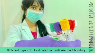 Different blood collection vials [upl. by Atinot]