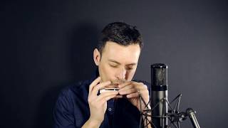 Chromatic Harmonica  Harmo Angel 12  Gypsy Jazz harmonica  Harmo Harmonicas [upl. by Malcah]