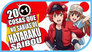 201 Cosas Que No Sabías De Hataraku Saibou [upl. by Aennaej]