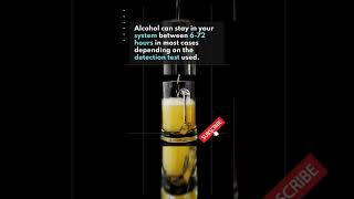 How Long Does Alcohol Stay In Your System [upl. by Ileek169]