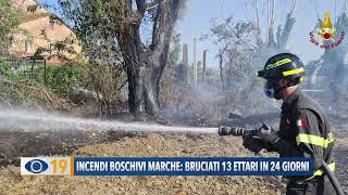 Incendi boschivi Marche bruciati 13 ettari in 24 giorni [upl. by Hazlett]