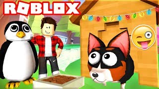 DOG SIMULATOR vs PENGUIN SIMULATOR Roblox [upl. by Bazluke78]